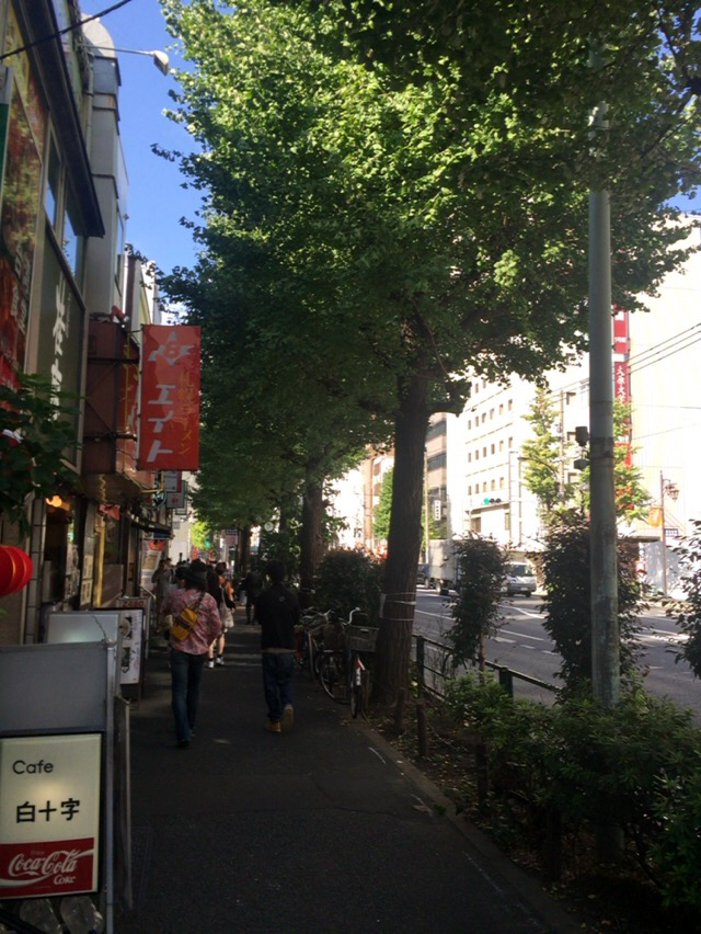 東京都千代田区の白山通りのいちょうの木