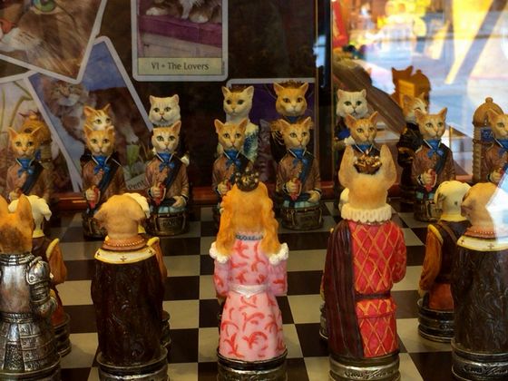 犬と猫のチェスの駒