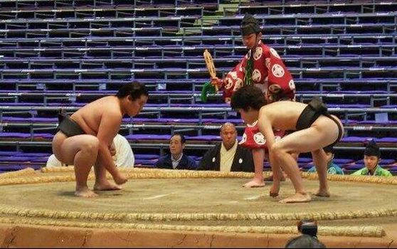 相撲の力士の育盛